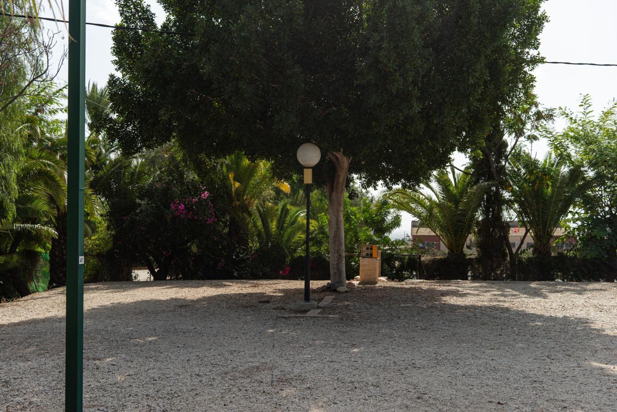 Camping Las Palmeras Кревиленте Екстериор снимка